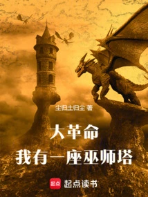 Revolution: I Have a Wizard Tower