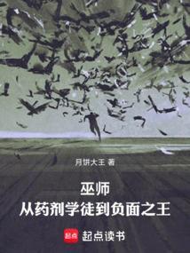 Wizard: from Potion Apprentice to Lord of Negativity