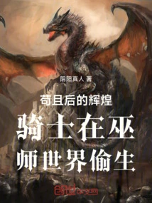 Wizard Knight Develops Secretly in the Wizarding World