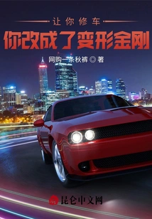 I Asked You to Repair a Car and You Changed it into a Transformer?