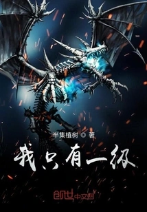 I Only Have One Level