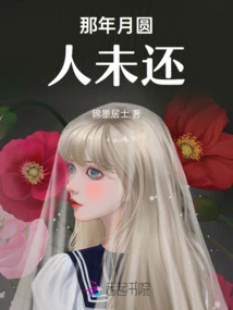 In That Year, the Full Moon Has Not Been Returned Yet