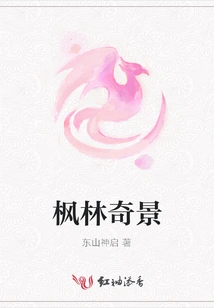 Wonderful Scenery of Maple Forest