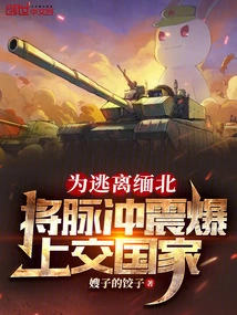 In Order to Escape Northern Myanmar, He Handed over the Pulse Blast to the Country