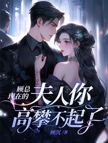 Mr. Gu, You Can't Reach Your Current Wife