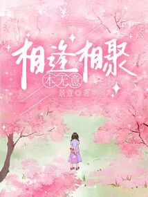 We Didn't Intend to Meet Each Other