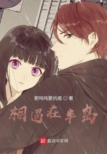 Meet on the Peninsula