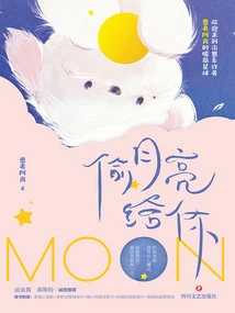 Steal the Moon for You