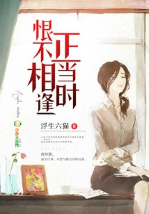 I Wish We Could Meet Each Other at the Right Time