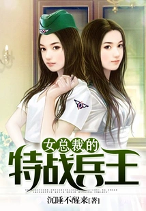 The Female Ceo's Special Forces King