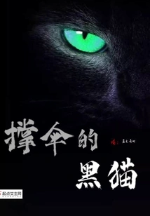 Black Cat Holding Umbrella