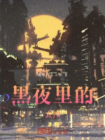 The Sun in the Dark Night