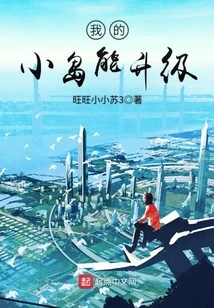 Can My Island Be Upgraded?