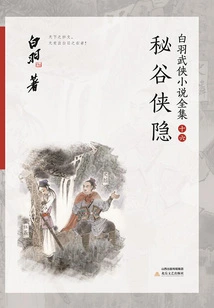 Hidden in the Secret Valley (complete Collection of Bai Yu's Martial Arts Novels 16)