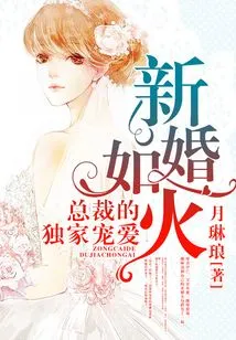 Newlyweds: the Ceo's Exclusive Favor