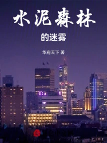 The Fog of the Concrete Forest