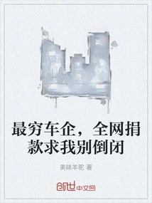 The Poorest Car Company, the Whole Network Donates Money to Beg Me Not to Go Bankrupt