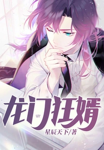 Longmen Crazy Son-in-law