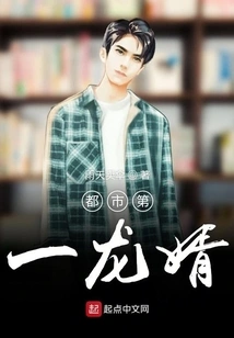 The First Son-in-law in the City