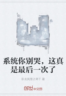 System, Don't Cry, This is Really the Last Time