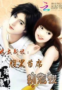 Cannon Fodder Bride: the Shady Chief, Don't Mess with Me