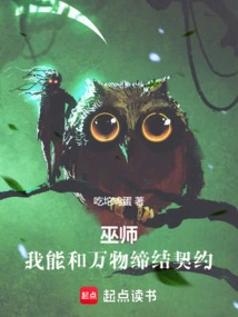 Wizard: I Can Make a Contract with All Things