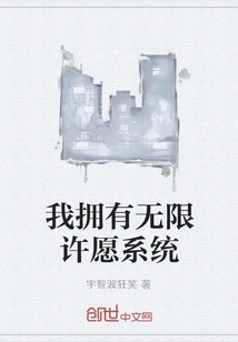 I Have an Unlimited Wishing System