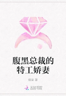 The Secret Agent Wife of the Sinister Ceo