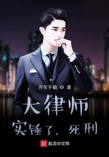 When a Lawyer Owns the System