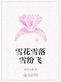 Snowflakes Snow Falling Snow Flying