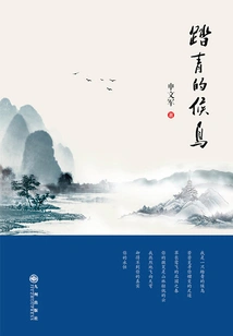 Migratory Birds on an Outing