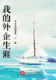 My Career in Foreign Companies