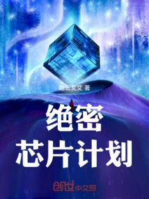 Top Secret Chip Project