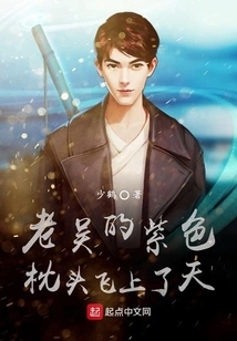 Lao Wu's Purple Pillow Flew into the Sky