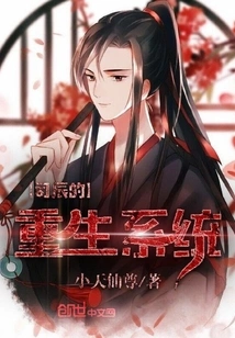 Si Chen's Rebirth System