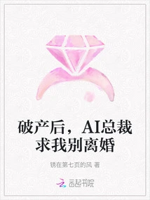 After Bankruptcy, Ai Ceo Begged Me Not to Get Divorced