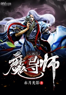 Magister Without Attributes