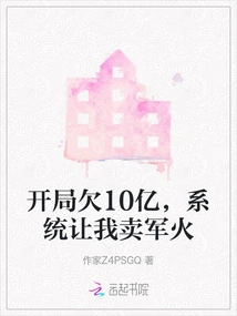 I Owe 1 Billion at the Beginning, and the System Asked Me to Sell Arms