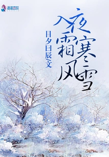 Frosty Night, Cold Wind and Snow