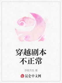 The Time Travel Script is Abnormal