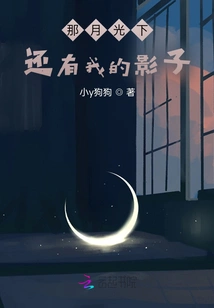 Under the Moonlight, There is Still My Shadow