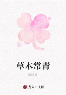 Evergreen Vegetation