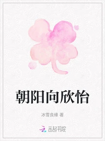 Chaoyang Xiang Xinyi