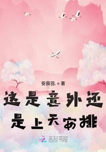 Is This an Accident or an Arrangement from God?