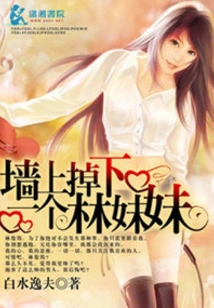 A Sister Lin Fell from the Wall