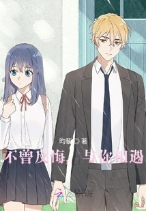 Never Regretted Meeting You