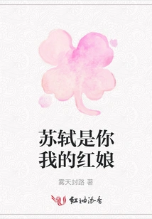 Su Shi is Your Matchmaker