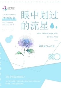 Meteors Flashing Across My Eyes