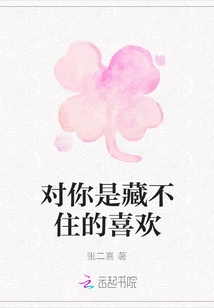 I Can't Hide My Love for You