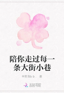 Accompany You Through Every Street and Alley